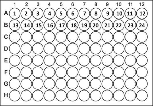 Well Number Incrementing by Row